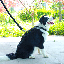 7 веревочка Paracord парашюта 550 стренг 100 Ft 2